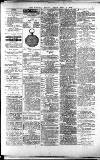 Lichfield Mercury Friday 02 April 1880 Page 3