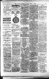 Lichfield Mercury Friday 09 April 1880 Page 3
