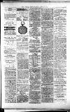 Lichfield Mercury Friday 16 April 1880 Page 3