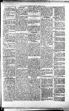 Lichfield Mercury Friday 16 April 1880 Page 7