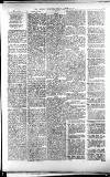 Lichfield Mercury Friday 23 April 1880 Page 7