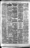 Lichfield Mercury Friday 21 May 1880 Page 3
