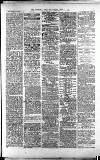 Lichfield Mercury Friday 04 June 1880 Page 3