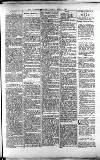 Lichfield Mercury Friday 04 June 1880 Page 7