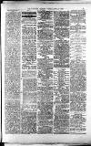 Lichfield Mercury Friday 11 June 1880 Page 3