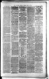 Lichfield Mercury Friday 18 June 1880 Page 3