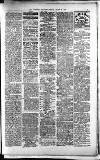 Lichfield Mercury Friday 25 June 1880 Page 3