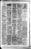 Lichfield Mercury Friday 02 July 1880 Page 3