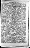 Lichfield Mercury Friday 02 July 1880 Page 5