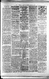 Lichfield Mercury Friday 23 July 1880 Page 3