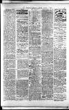 Lichfield Mercury Friday 06 August 1880 Page 3