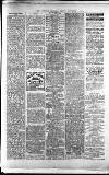 Lichfield Mercury Friday 03 September 1880 Page 3
