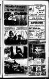 Lichfield Mercury Friday 19 April 1985 Page 17