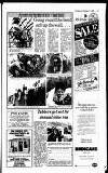 Lichfield Mercury Friday 11 October 1985 Page 17