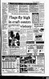 Lichfield Mercury Thursday 26 August 1993 Page 3