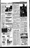 Lichfield Mercury Thursday 16 September 1993 Page 17