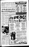 Lichfield Mercury Thursday 23 March 1995 Page 19