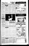 Lichfield Mercury Thursday 06 April 1995 Page 25