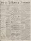 Essex Newsman Saturday 13 November 1875 Page 1
