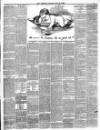 Essex Newsman Saturday 21 September 1889 Page 3