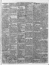 Maidstone Telegraph Saturday 27 February 1869 Page 3