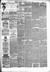Chester Courant Wednesday 16 June 1875 Page 3