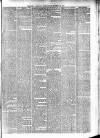 Chester Courant Wednesday 28 March 1877 Page 3