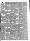 Chester Courant Wednesday 26 June 1878 Page 3