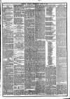 Chester Courant Wednesday 20 April 1881 Page 5