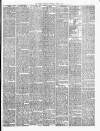 Chester Courant Wednesday 04 April 1894 Page 3