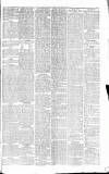 Gloucestershire Chronicle Saturday 01 February 1879 Page 5