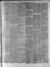 Derbyshire Courier Saturday 18 April 1874 Page 5
