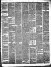 Hereford Times Saturday 10 February 1877 Page 12
