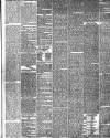 Hereford Journal Saturday 24 March 1877 Page 5