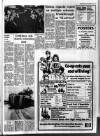 Grantham Journal Friday 06 August 1976 Page 19