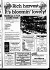 Grantham Journal Friday 09 March 1990 Page 33