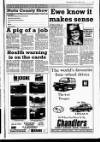 Grantham Journal Friday 06 April 1990 Page 41