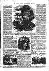 Wellington Journal Sunday 01 October 1854 Page 7