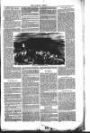 Wellington Journal Saturday 14 July 1855 Page 3