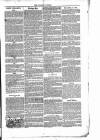 Wellington Journal Saturday 25 August 1855 Page 3