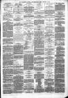 Wellington Journal Saturday 15 January 1876 Page 3