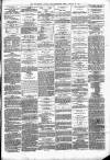 Wellington Journal Saturday 22 January 1876 Page 3