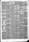 Wellington Journal Saturday 29 January 1876 Page 7