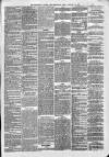 Wellington Journal Saturday 26 February 1876 Page 5