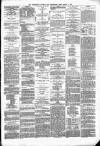 Wellington Journal Saturday 04 March 1876 Page 3