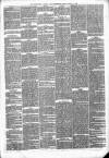 Wellington Journal Saturday 11 March 1876 Page 7