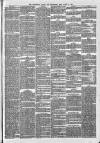 Wellington Journal Saturday 18 March 1876 Page 7