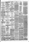 Wellington Journal Saturday 29 July 1876 Page 3