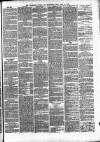 Wellington Journal Saturday 13 April 1878 Page 5