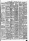 Wellington Journal Saturday 31 January 1880 Page 3